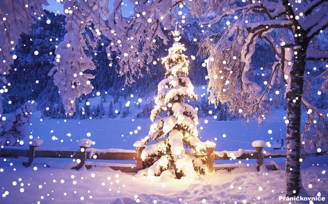 V no n pohybliv obr zky gify pad sn h 777cz eu V no n pohybliv obr zky gify pad sn h 777cz eu